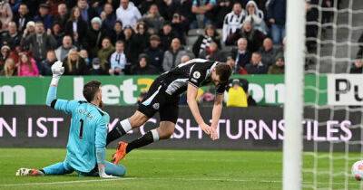 Chris Wood - Callum Wilson - Sean Dyche - Newcastle United - Adama Traore - Criticism of Chris Wood's goals tally misses the bigger picture for Newcastle United - msn.com -  Norwich