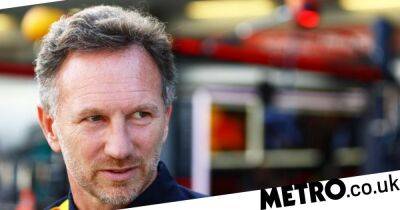 Red Bull boss Christian Horner appears to take swipe at Lewis Hamilton over back injury