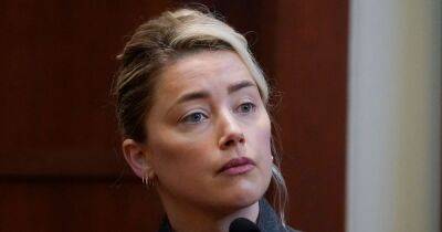 Amber Heard 'felt less than human' during Johnny Depp trial but stands by 'every word'