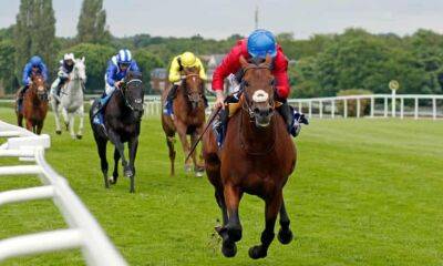 Royal Ascot: Bay Bridge can step up to big time in £1m Prince of Wales’s Stakes
