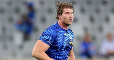United Rugby Championship: Stormers back-row Evan Roos wins another award