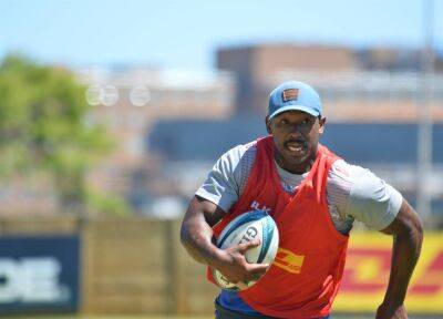 'Petersen will start': Dobson confirms at least one change in Stormers' starting XV for URC final