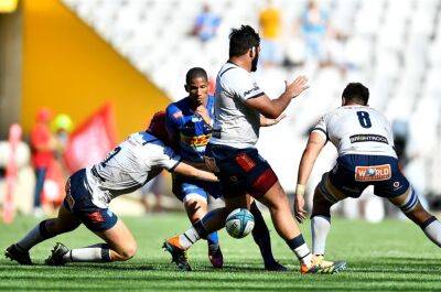 Warrick Gelant - John Dobson - Deon Fourie - Canan Moodie - For John Dobson, flame of North-South derby still burns: 'It's great to have these rivalries' - news24.com - South Africa - Ireland -  Cape Town