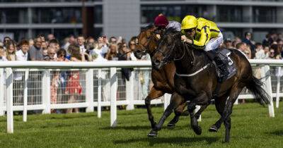 Royal Ascot News: Perfect Power ready for potent Commonwealth Cup performance
