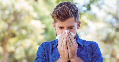 July is set to be the worst month for hayfever sufferers in the UK - manchestereveningnews.co.uk - Britain