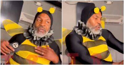 Mike Tyson dresses up as bee for TV appearance in bizarre footage