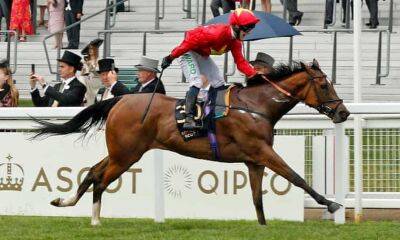 Talking Horses: Highfield Princess can nab Royal Ascot’s Platinum prize