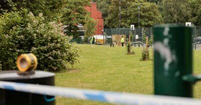 Second boy arrested after 13-year-old stabbed in park as police increase stop and search powers