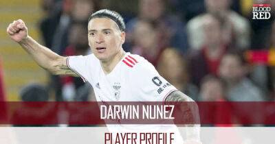 Liverpool have double advantage in rumoured Darwin Nunez pursuit after Luis Diaz deal