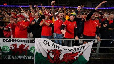 Wales fans warned against pitch invasion at Ukraine play-off