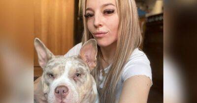 Mum 'devastated' after beloved bulldog snatched from family home as she bathed daughter upstairs - manchestereveningnews.co.uk - Manchester