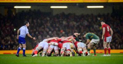 Wayne Pivac - The Wales players faced with the hardest task in rugby this summer - msn.com - South Africa - Japan - Ireland - state Louisiana - county Andrew - county Porter