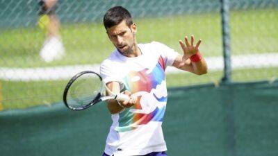 Djokovic, Nadal top two seeds at Wimbledon, Serena unseeded