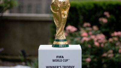 1.2 Million 2022 FIFA World Cup Tickets Sold, Organisers Say