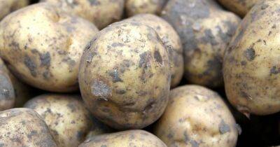 Man who complained he had 'adult potato' thrown at his head goes viral after Facebook rant