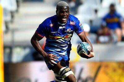 Dynamic Dayimani’s Stormers career revival: 'It's quite beautiful that Hacjivah found himself'
