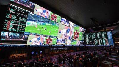 Sports gambling has victims — and they are typically highly educated young men