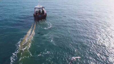 Bottom trawlers: Engines of marine destruction - france24.com - Spain - Eu