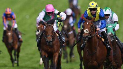 Emily Upjohn - Epsom form set to be tested in Irish Derby at the Curragh - rte.ie - Ireland - Dubai - Guinea
