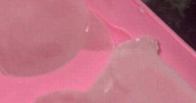 M&S shoppers go wild for 'adorable' detail inside £2 ice cube trays that everyone loves - manchestereveningnews.co.uk