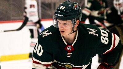 Wild prospect Novak steps away from team following diagnosis