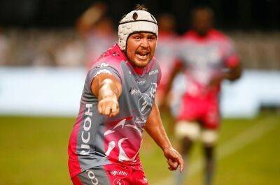 Super Rugby finalist meets a chef, Willie faces 'Evan Roos': 5 key Currie Cup final duels