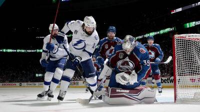 Avalanche fan banned from home games after spreading friend's ashes on ice