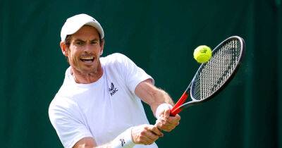 Andy Murray and Wimbledon: Recent form allows us to carve up draw and dream a bit