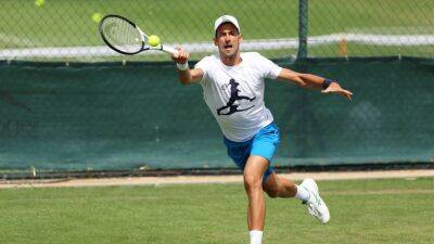 Novak Djokovic aims to match Wimbledon title haul of childhood hero Pete Sampras