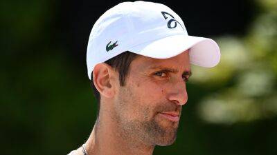 Novak Djokovic will be 'super motivated' to win Wimbledon with US Open participation in doubt, says Barbara Schett