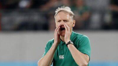 Ex-Ireland coach Schmidt to train All Blacks after COVID outbreak