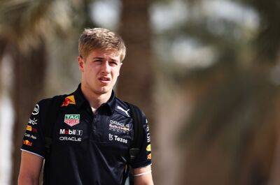 'I unreservedly apologise' - Red Bull drops reserve driver Juri Vips after racist online incident