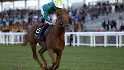 Group One winner Scope suffers fatal training injury - rte.ie - Ireland - county King George