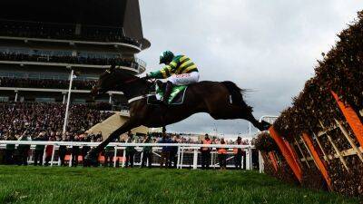 Nicky Henderson - Buveur D'Air to enjoy well-earned retirement - rte.ie -  Punchestown