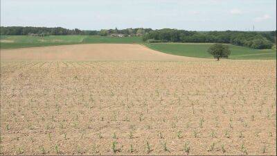 France hit by drought: Farmers bear the brunt - france24.com - France