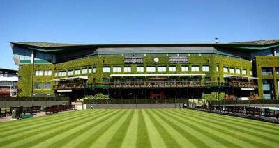 Wimbledon ban divides tennis fans after Novak Djokovic and Rafael Nadal speak against it