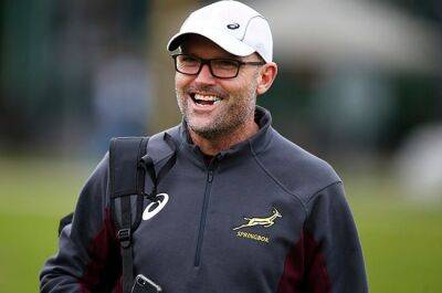 Grant Williams - Jacques Nienaber - Johan Goosen - Cobus Reinach - Springboks invite 17 to camp ahead of Wales series, 2 uncapped players included - news24.com - Britain -  Pretoria