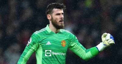 David de Gea World Cup hopes in tatters as boss hints at reasons for Man Utd star’s omission
