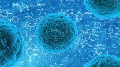 Gran paso hacia la vacuna contra el cáncer