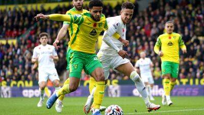 Championship - Dean Smith - Andrew Omobamidele - Northern Ireland - Andrew Omobamidele signs new contract with Norwich - bt.com - Ireland -  Norwich - county Smith