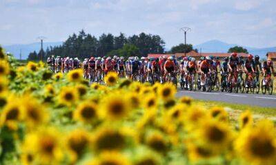 ‘Brake, brake, brake!’: a white-knuckle ride on the back of a motorbike at the Tour de France