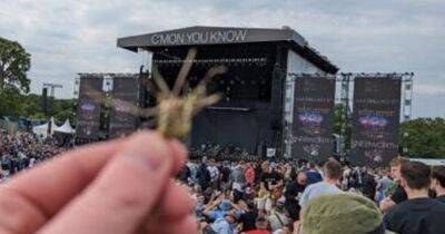 Grass from Liam Gallagher’s Knebworth gig is going for more than £7,500 on eBay