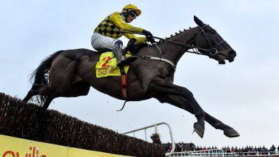 Al Boum Photo and Melon to take up eventing after retirement from racing
