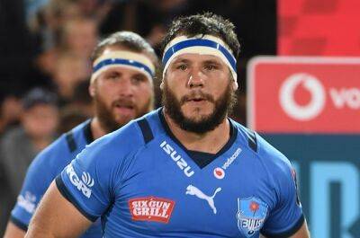 Marcell Coetzee - Playoff mentality will be Bulls trump card in Leinster showdown: 'We're used to that norm' - news24.com - South Africa - Ireland -  Dublin