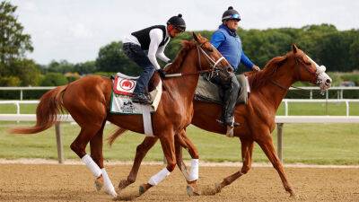 Belmont Stakes post positions, odds announced