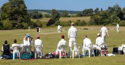 The curious etiquette of village cricket - msn.com
