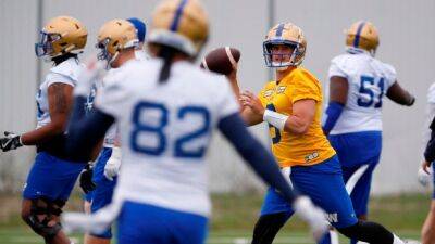 Bombers confident in Collaros as they chase third consecutive Grey Cup