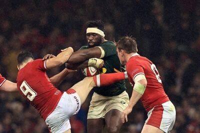 Wales seek balanced approach to counter Bok muscle: 'We can't get caught playing Sevens'