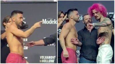 Sean Omalley - UFC 276: Sean O'Malley riles up Pedro Munhoz by checking his watches during face-off - givemesport.com