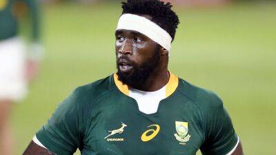 Siya Kolisi predicts physical clash with Wales side that ‘does not give an inch’